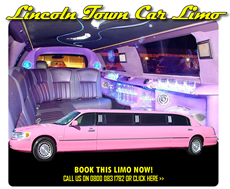8 Seater Pink Town Car